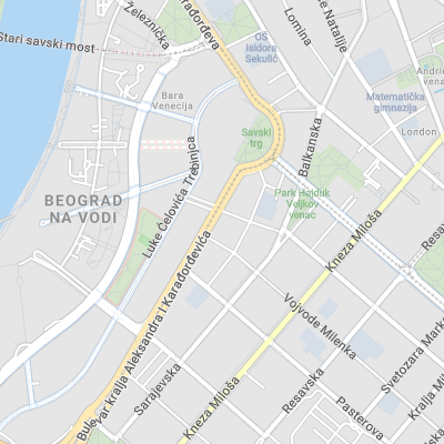 Marko Radojičić - Attorney at Law