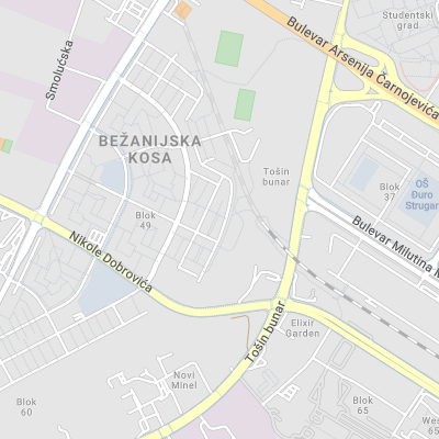 Milica Koprivica Vasiljević - Attorney at Law