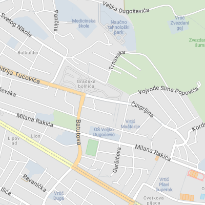 Todor Bajčetić - Attorney at Law