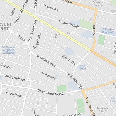 Dragana Kopčalić - Attorney at Law