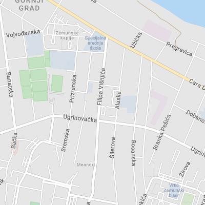 Advokat Danica Nedeljković