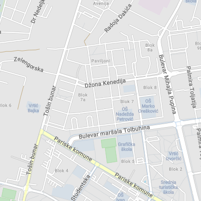 Advokat Svetlana Cakić