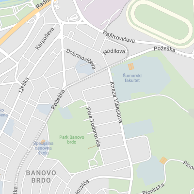 Radovan Dedijer - Attorney at Law