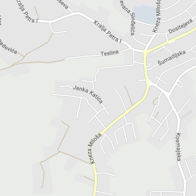 Advokat Milica Čučković