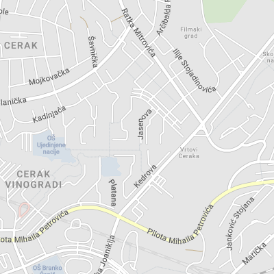 Aleksandar Vučetić - Attorney at Law