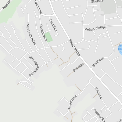 Advokat Saška Gojković