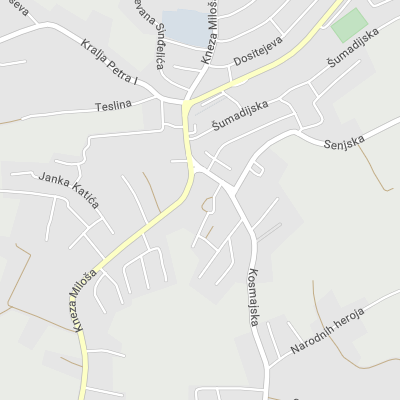 Advokat Zorica Petronijević-Gajić