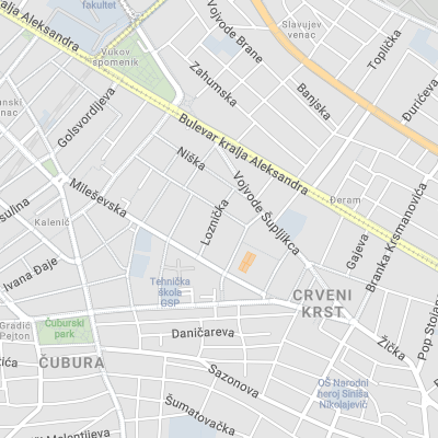 Dragiša Vukašinović - Attorney at Law