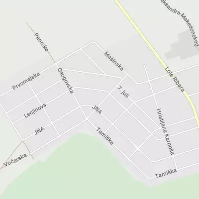 Market Jutro - Bravo