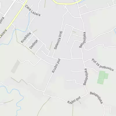 Market Jutro - Zvoncica BM