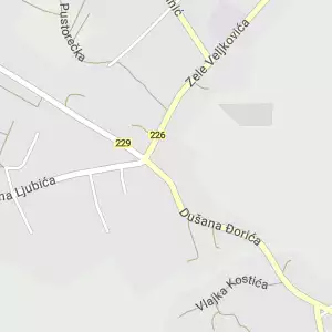 Pošta 16205 Bojnik