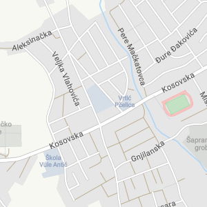 Branko Radičević Elementary School