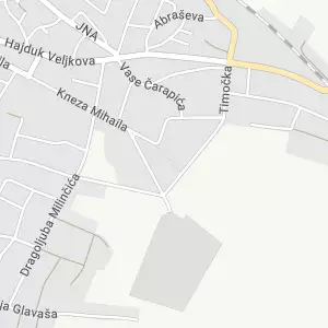 Buvlja pijaca Negotin