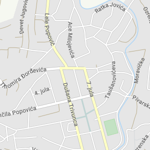 Aleksinac Tax Administration