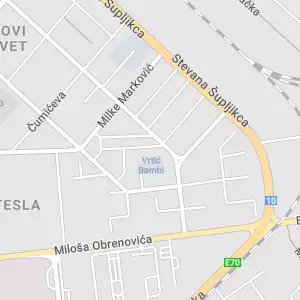 Mini pijaca Tesla Pančevo