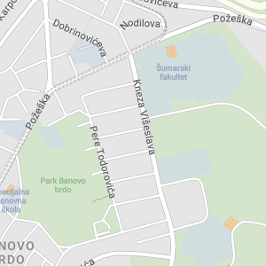 Advokat Blagoje Kondić
