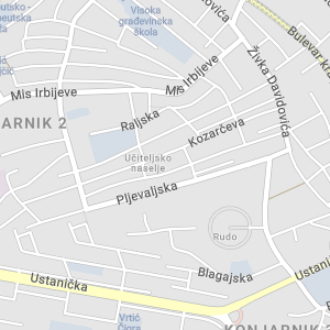 Auto električar Vidoje