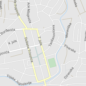 Dragiša Nešić Notary Public