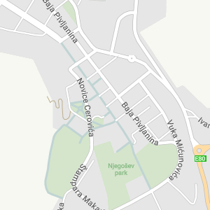 Cetinje Pensioners' Association