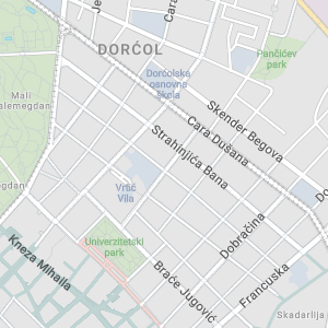Odgajivačnica ruskih plavih mačaka Singidunum