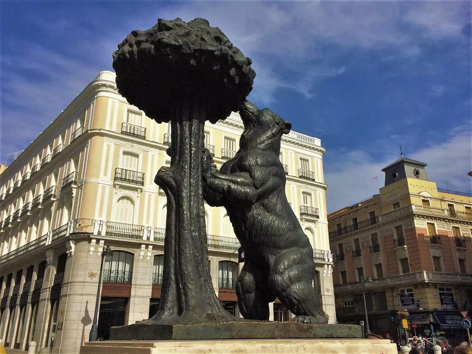 Medvedica jede madronjo, Madrid