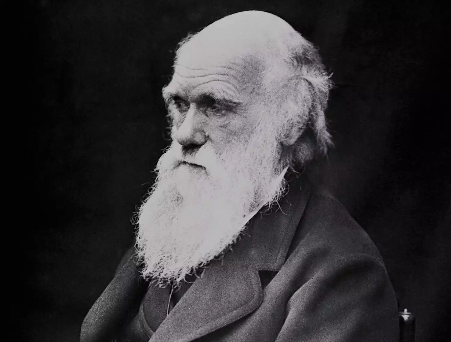 Charles Darwin | Origin of Street Names