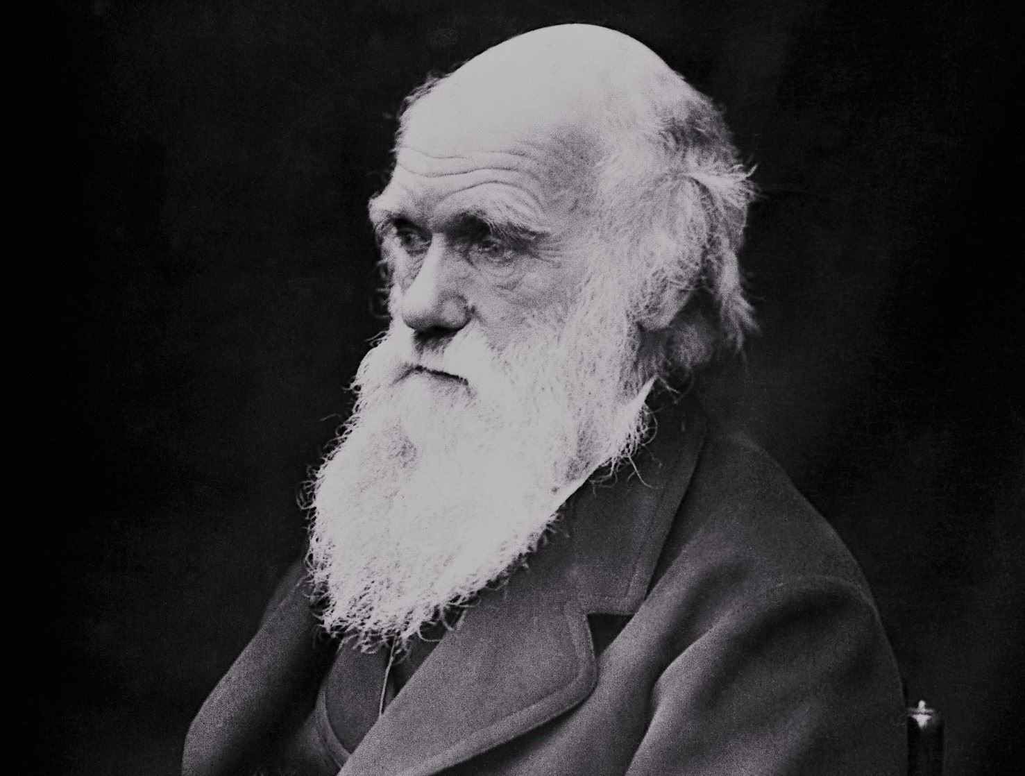 Charles Darwin | Origin of Street Names