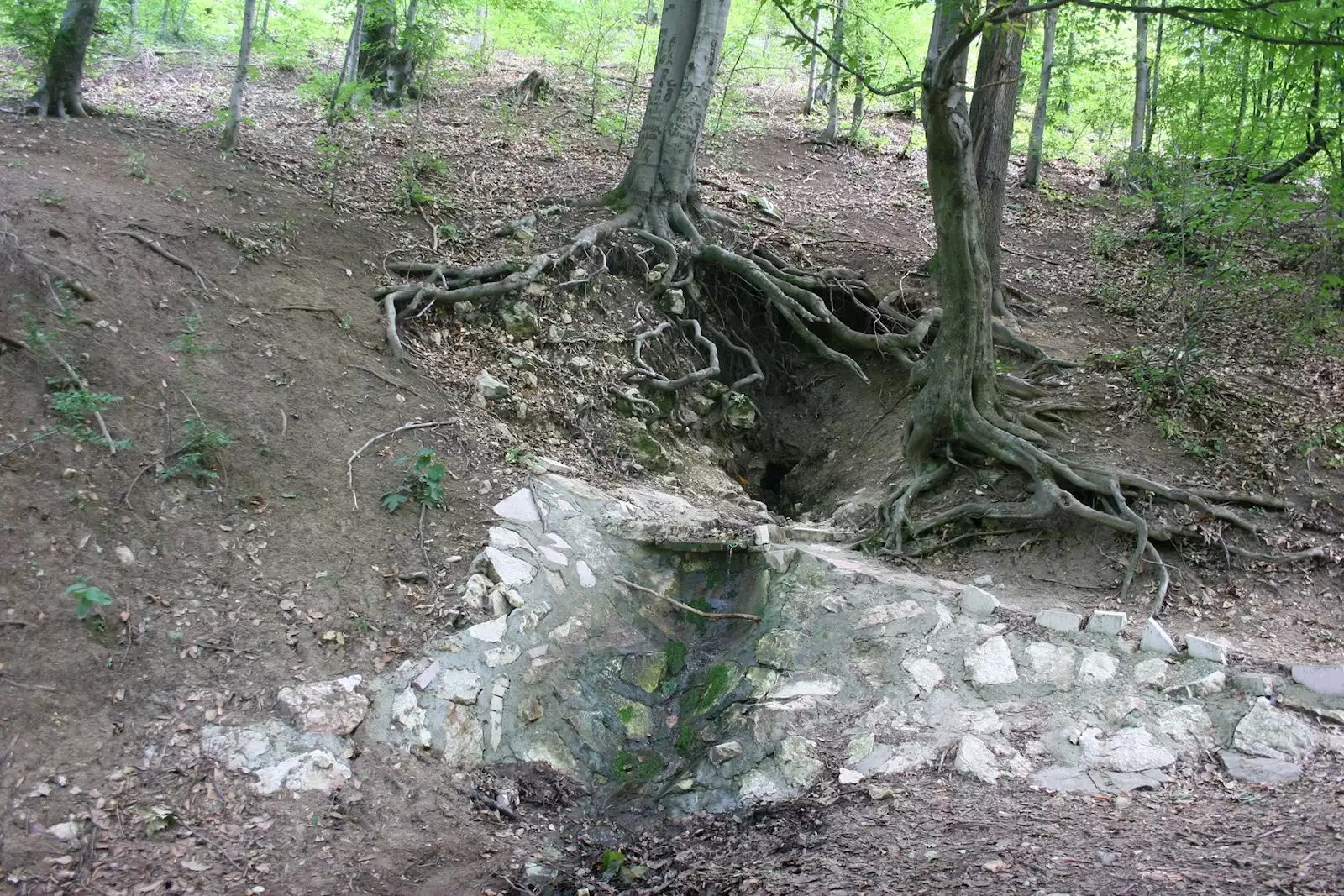 Homoljska potajnica - mističan izvor Istočne Srbije | Prirodno nasleđe Srbije