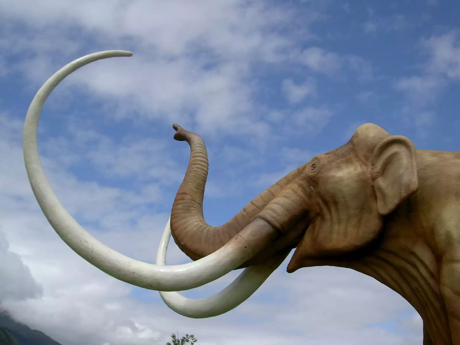 Mammoths | Natural Heritage of Serbia