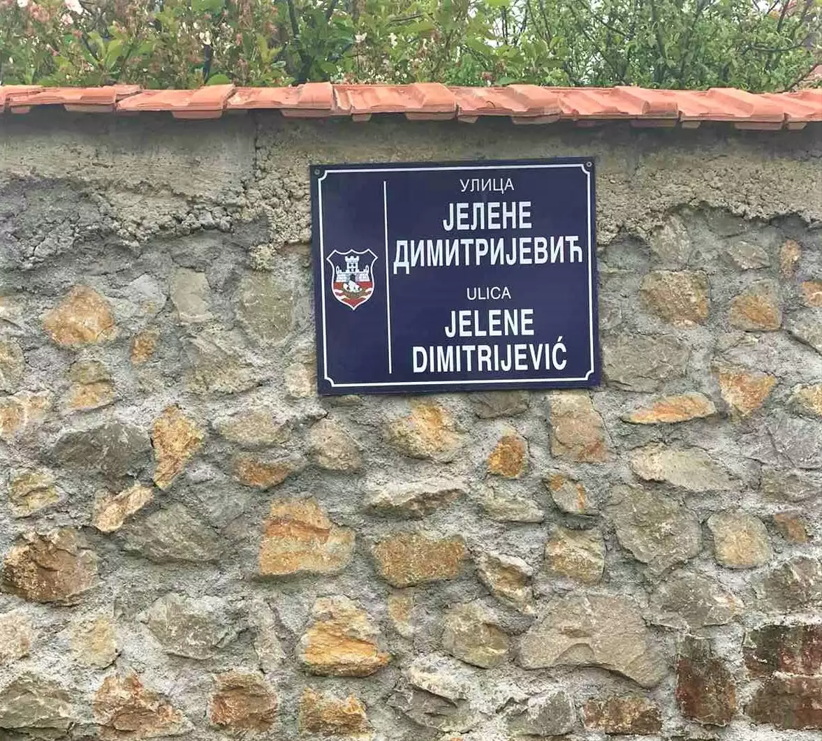 Ulica Jelene Dimitrijević