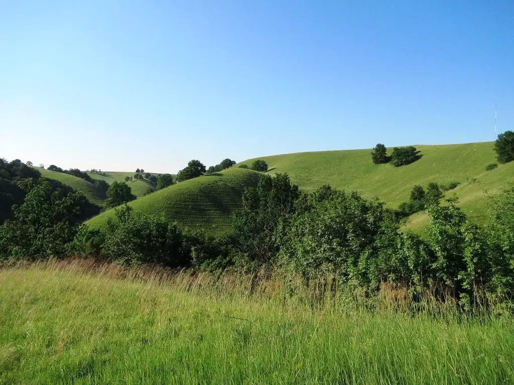 Zagajica Hills