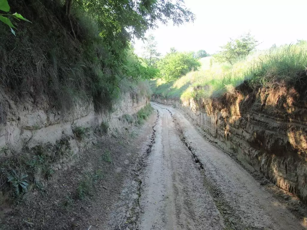 Off-Roading in Deliblatska Peščara