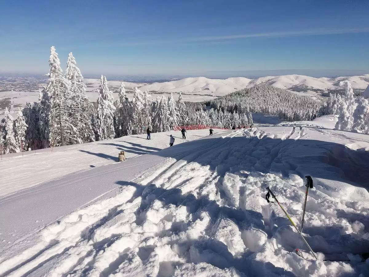Skiing in Zlatibor, Tornik Ski Resort