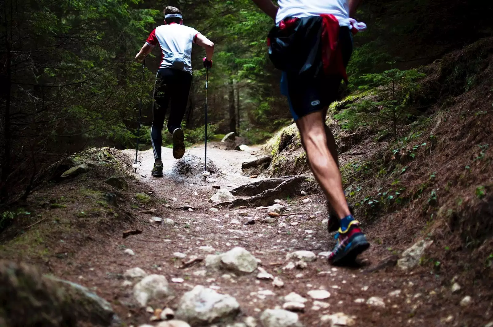 Fruška Gora Marathon | Tourist Calendar of Serbia