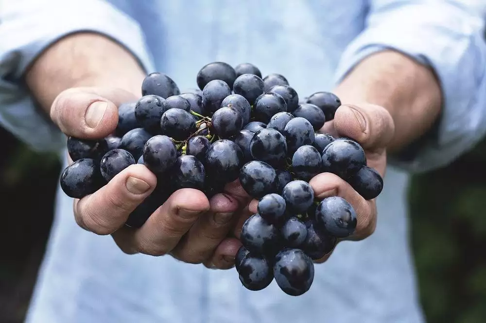 Black grapes