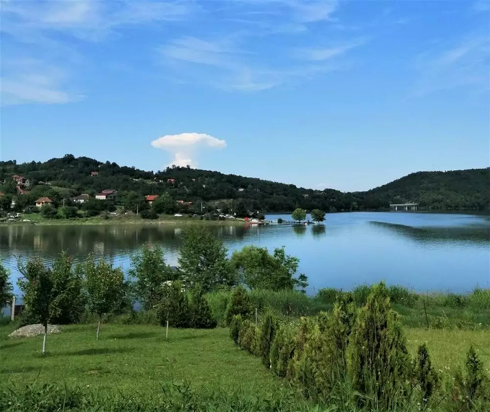 Jezero Celije Vesna Nikolic