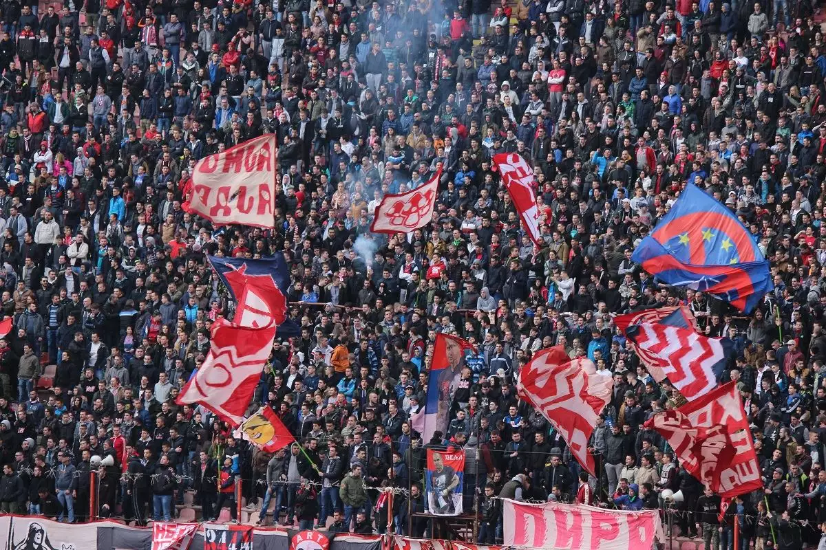 FK Crvena zvezda Fans