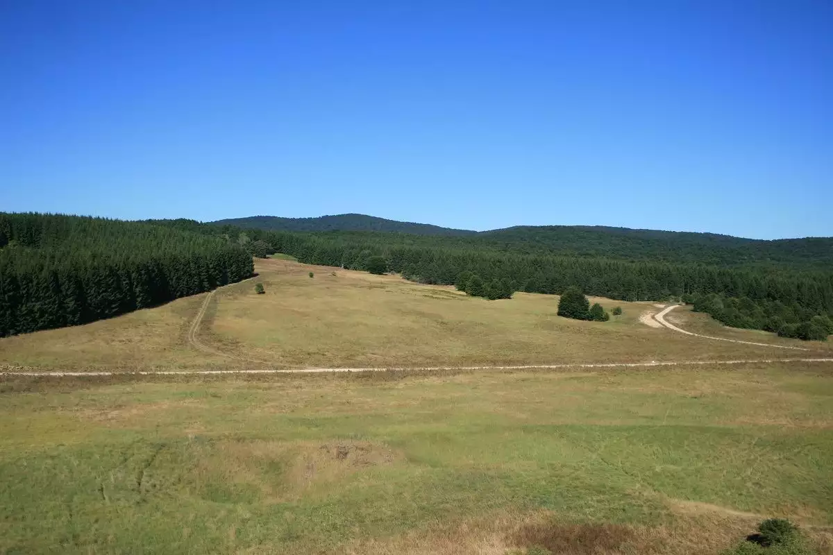 Kučaj Mountains - An "Island" of Untouched Nature | Where to Go for a Trip?!