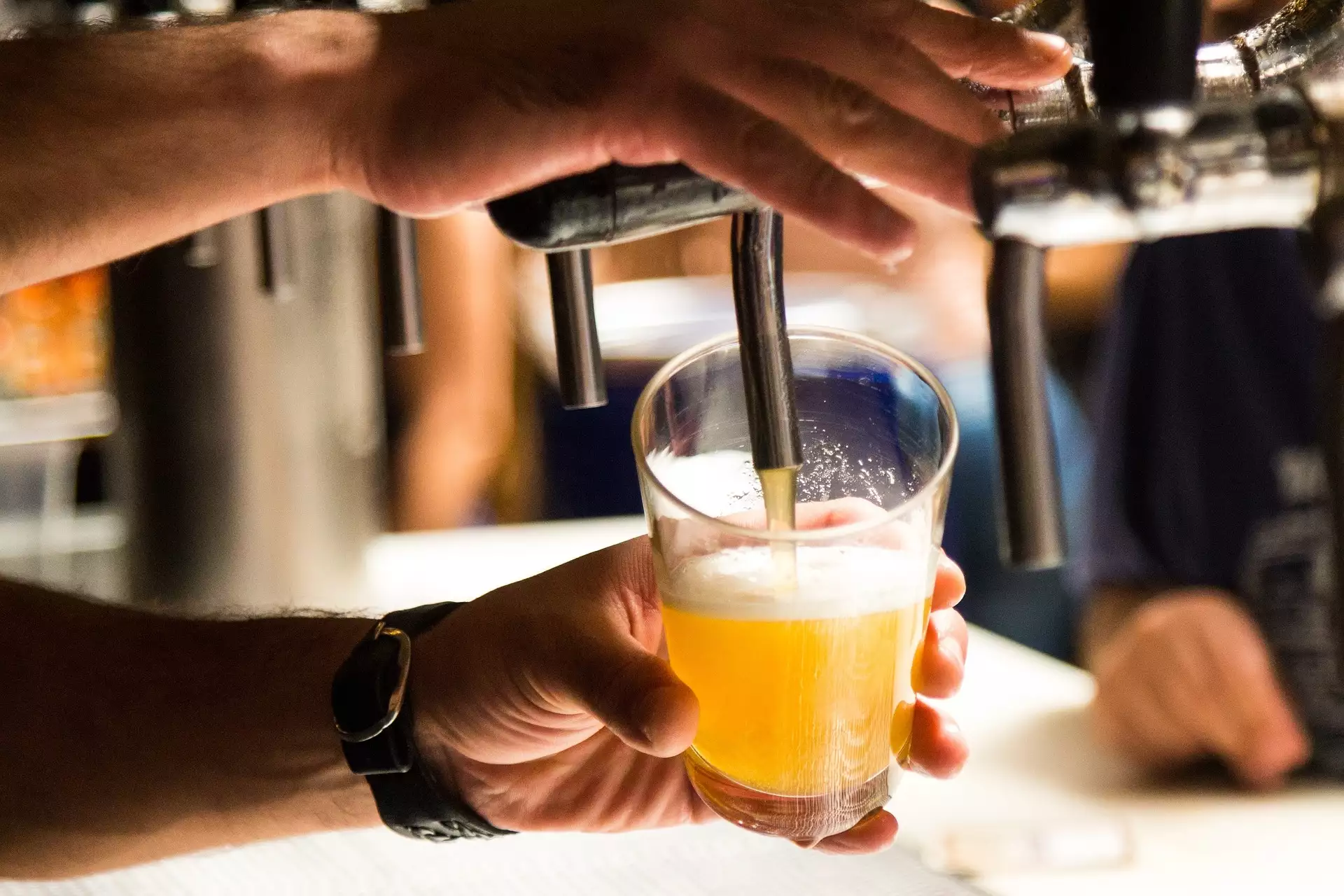 Kraft piva, domaće pivare i dobra muzika na Festivalu zanatskog piva u Staroj Pazovi
