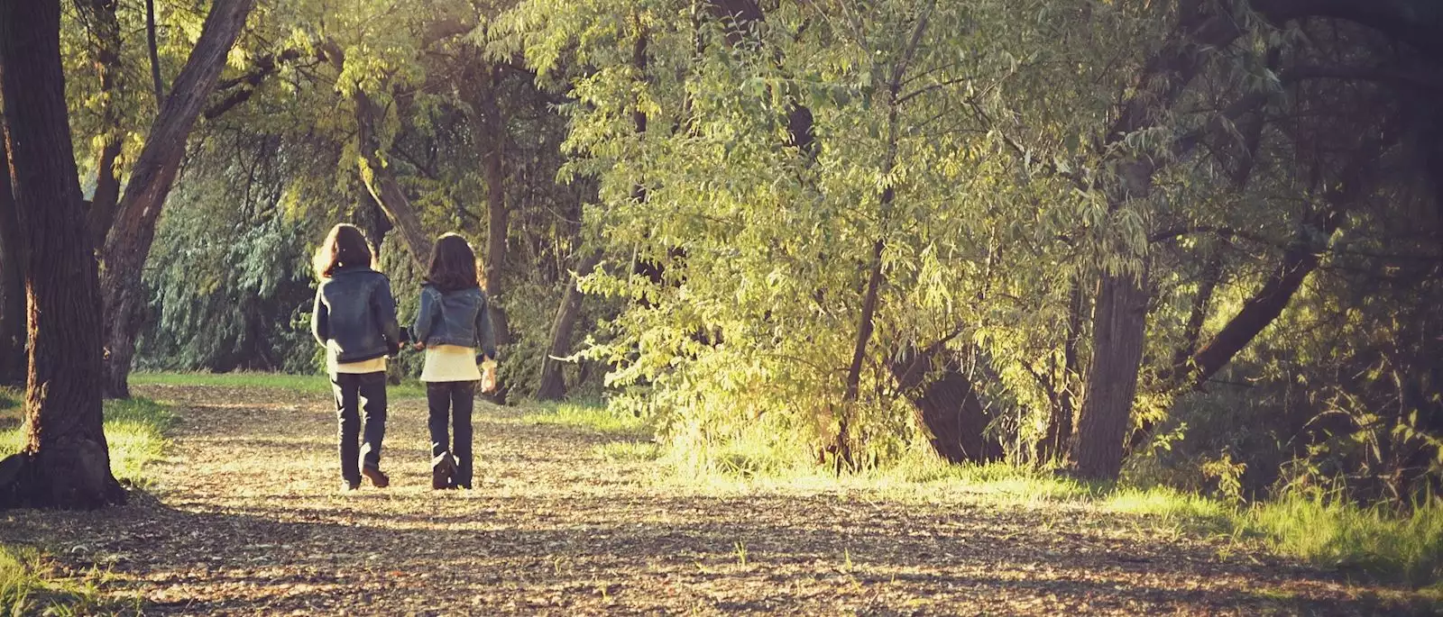 Walking in nature, Bojčin Forest