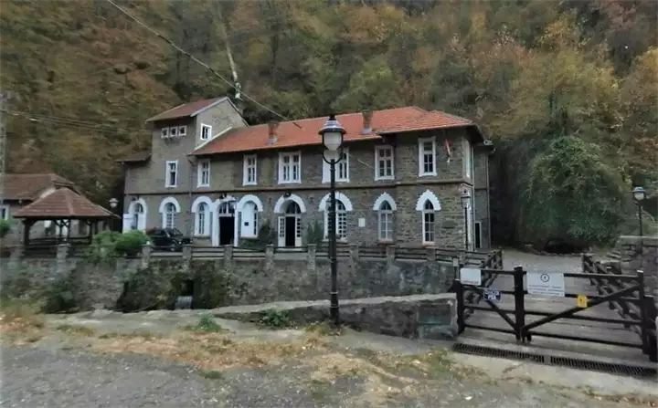 Vucje Aleksandar pesic