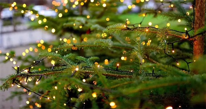 christmas-4683529_1920