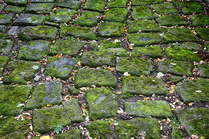 cobblestones-2952820_1920