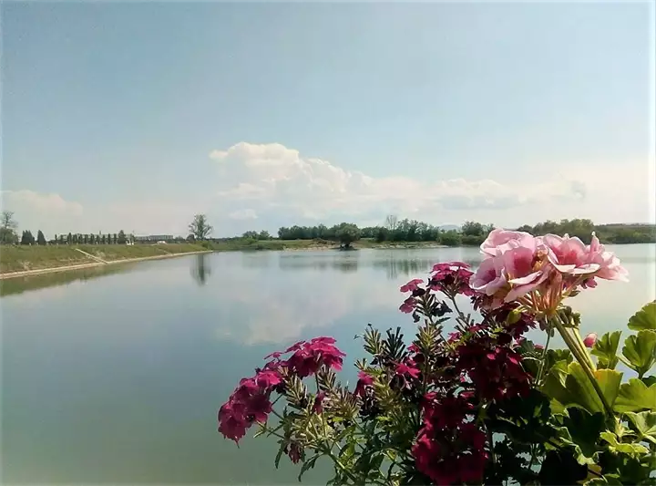 Markovacko jezero Dusica Zivojinovic