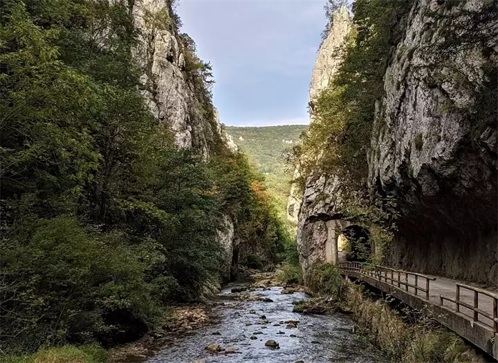 Kanjon Jerme Cedo Zivkovic