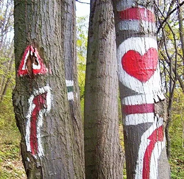 Oznake na drvecu za Fruskogorski maraton